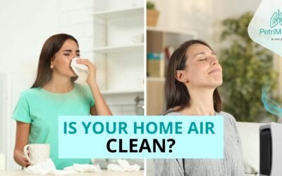 Is Your Home’s Air Clean?