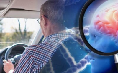 In-Cabin Car Air Pollutants May be One of the Factors to Cause Alzheimer’s
