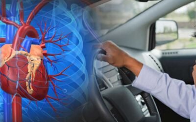 Presence of PM2.5 in the Car’s Cabin May Lead to Cardiovascular Disease